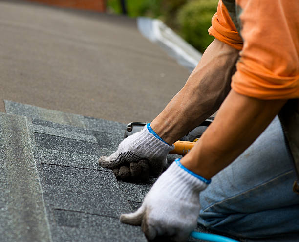Best Flat Roof Repair Services  in Morton, IL