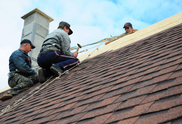 Best Roof Repair Services  in Morton, IL